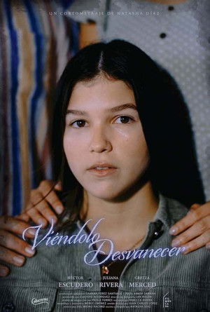 Viéndolo Desvanecer poszter
