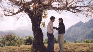 เดอะ เลตเตอร์ จดหมายรัก háttérkép
