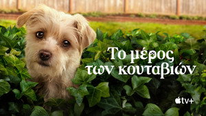 Kutyuskuckó kép