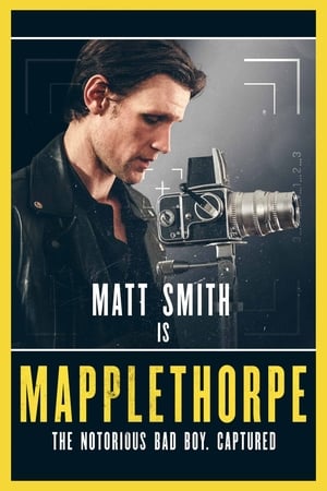 Mapplethorpe poszter