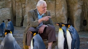 A természet furcsaságai David Attenborough-val 2. évad Ep.7 Élet a jégen