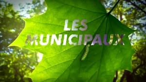 Les municipaux, la série kép