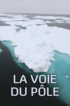 La voie du pôle poszter