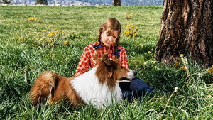 Lassie: Joyous Sound háttérkép