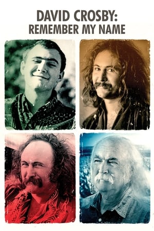 David Crosby: Remember My Name poszter