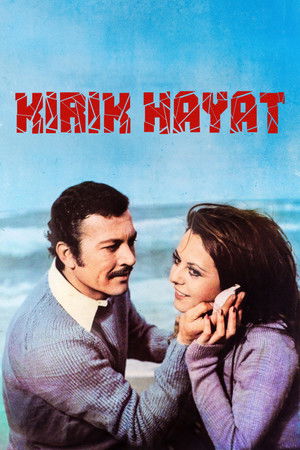 Kırık Hayat poszter