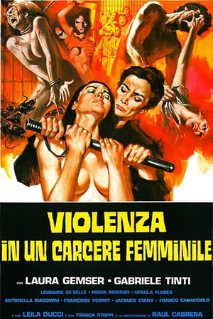 Violenza in un carcere femminile