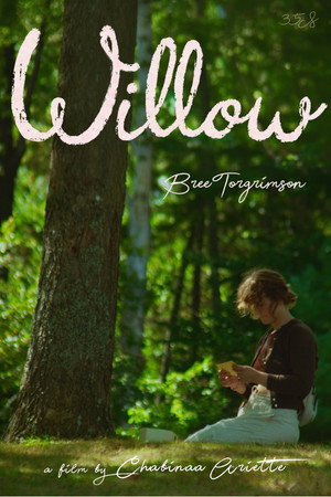 Willow poszter