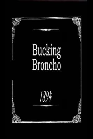 Bucking Broncho