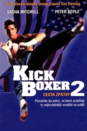 Kickboxer 2.: Visszatérés poszter