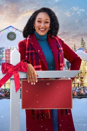 Scouting for Christmas poszter