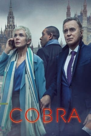 COBRA - A válságstáb poszter