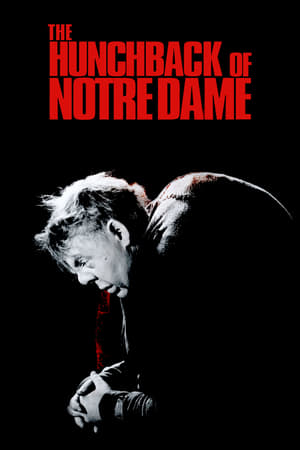 A Notre Dame-i toronyőr