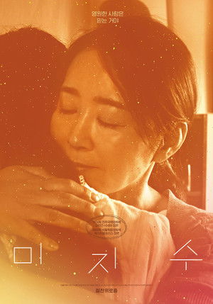 미지수 poszter