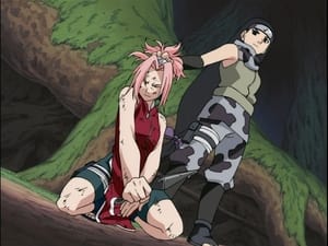 Naruto 1. évad Ep.32 A cseresznyevirág kinyílik! Soha többé védtelenül!