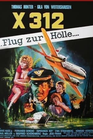 X312 - Flight to Hell poszter