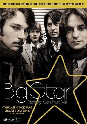 Big Star: Nothing Can Hurt Me poszter