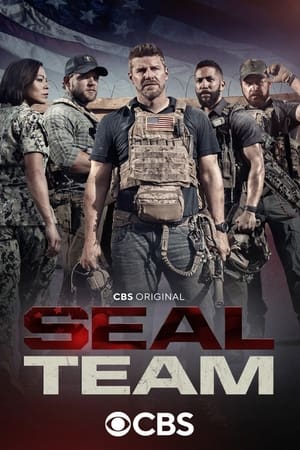 SEAL Team poszter