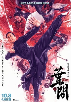 Ip Man: Kung Fu Mester