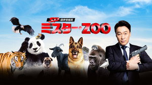 Mr. Zoo: Az eltűnt VIP háttérkép