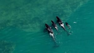 Patagónia vadregényes világa kép