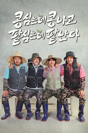 콩 심은 데 콩 나고 팥 심은 데 팥 난다 poszter