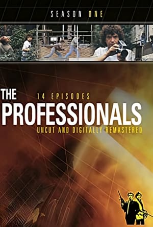 The Professionals poszter