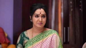 சின்னதம்பி Season 1 Ep.231 231. epizód