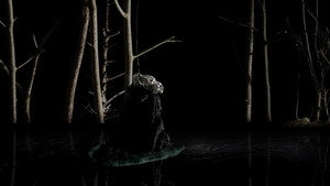 The Sleeping Wizards Inside Us háttérkép