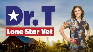 Dr. T, Lone Star Vet kép