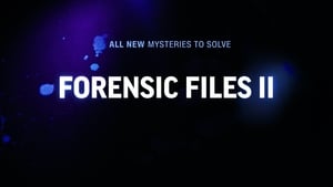 Forensic Files II kép