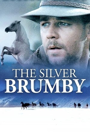 Az ezüst Brumby poszter
