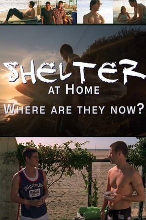 Shelter at Home: Where Are They Now? poszter