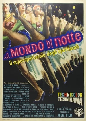 Il mondo di notte