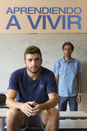 פיגומים poszter