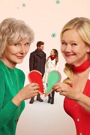 Holiday Mismatch poszter