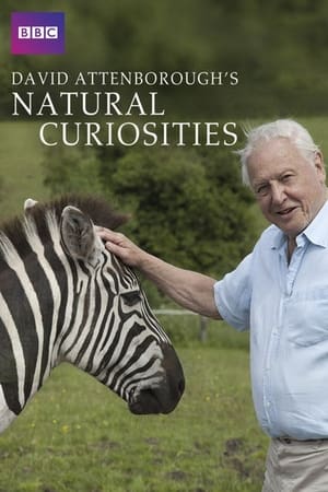 A természet furcsaságai David Attenborough-val