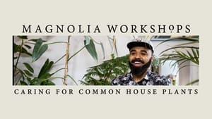 Magnolia Workshops: Caring for Common Houseplants kép