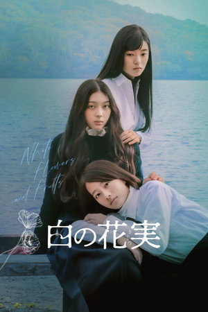 白の花実