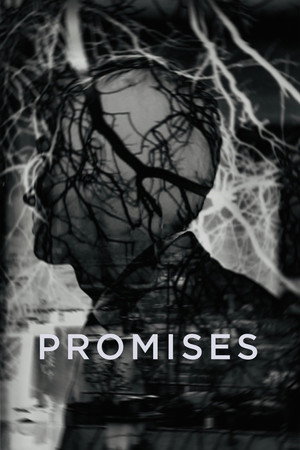 Promises poszter