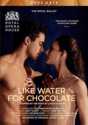 Like Water for Chocolate poszter