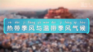 斑马百科 26. évad Ep.10 10. epizód