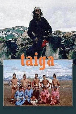 Taiga poszter
