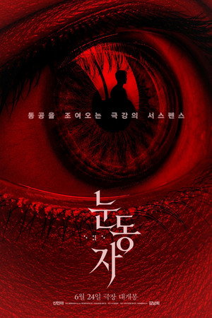 눈동자 poszter