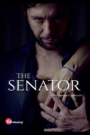 O Senador poszter