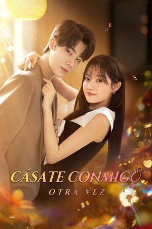 请再和我结婚吧 poszter