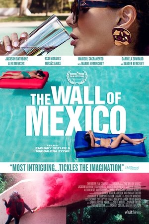 The Wall of Mexico poszter
