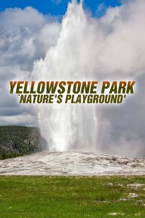 Yellowstone Park: 'Nature's Playground' poszter