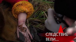 Следствие вели... 20. évad Ep.33 33. epizód