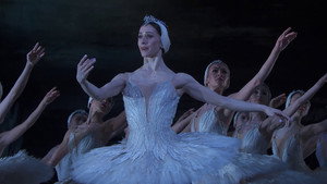 Tchaikovsky: Swan Lake háttérkép